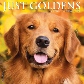 Calendar Just Goldens 2023 Wall Calendar Book