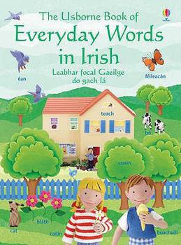 Paperback The Usborne Book of Everyday Words in Irish: Leabhar Focal Gaeilge Do Gach L. Jo Litchfield Book