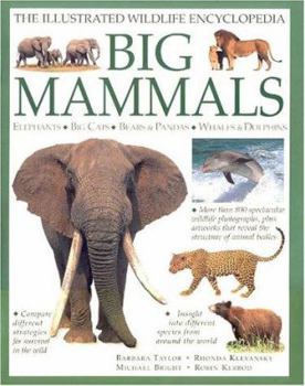 Paperback Big Mammals: Elephants, Big Cats, Bears & Pandas, Whales & Dolphins Book
