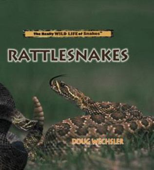 Library Binding Rattlesnakes Book