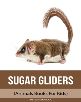 Paperback Sugar gliders (Animals Books For Kids) Book