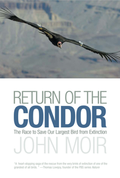 Hardcover Return of the Condor: The Race to Save Our Largest Bird from Extinction Book