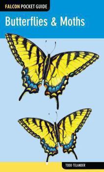 Paperback Butterflies & Moths Book