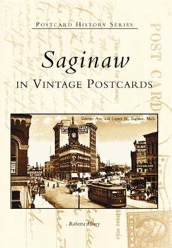 Paperback Saginaw in Vintage Postcards Book