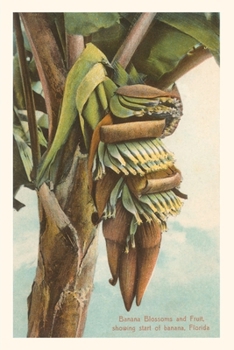 Paperback Vintage Journal Banana Blossom, Florida Book