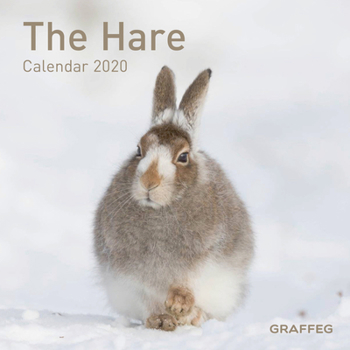 Calendar The Hare Calendar 2020 Book