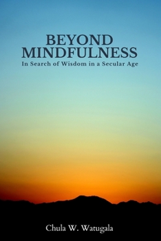 Paperback Beyond Mindfulness: In Search of Wisdom in a Secular Age Book