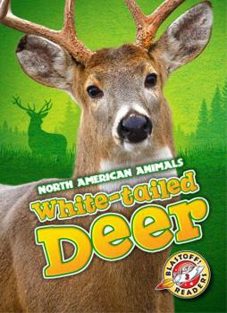 White-Tailed Deer - Book  of the North American Animals
