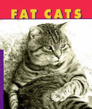 Hardcover Fat Cats Book