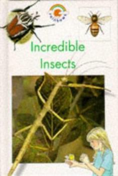 Hardcover Incredible Insects (Rainbows Blue) Book