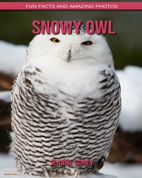Snowy Owl: Fun Facts and Amazing Photos