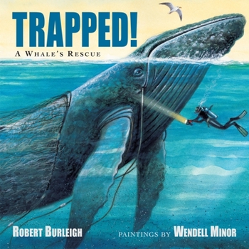 Hardcover Trapped! a Whale's Rescue Book