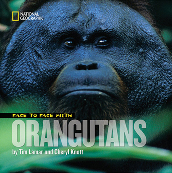 Hardcover Face to Face with Orangutans Book