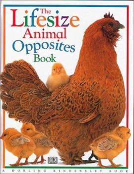 Hardcover The Lifesize Animal Opposites Book