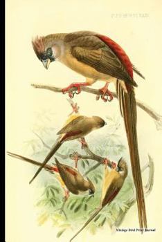 Vintage Bird Print Journal : Red-Backed Mousebird, 6 X 9 Vintage Bird Decor Print Journal - [Lined Journal]