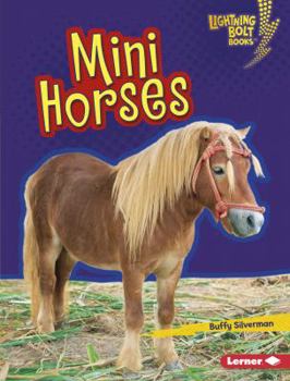 Library Binding Mini Horses Book