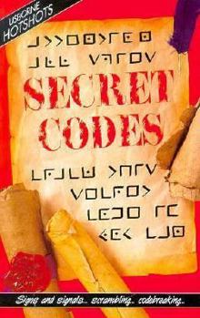 Paperback Secret Codes Book