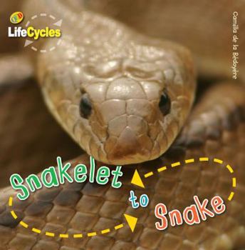 Snakelet to Snake - Book  of the Lifecycles