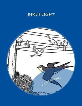 Paperback Birdflight: A Science Drama Playscript Book