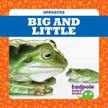 Big and Little - Book  of the Opposites