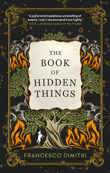Paperback The Book of Hidden Things Book