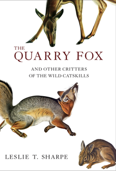 Hardcover The Quarry Fox: And Other Critters of the Wild Catskills Book