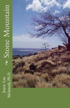 Paperback Stone Mountain Book