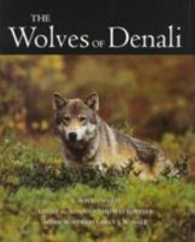 Hardcover Wolves of Denali Book