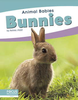 Library Binding Bunnies Book