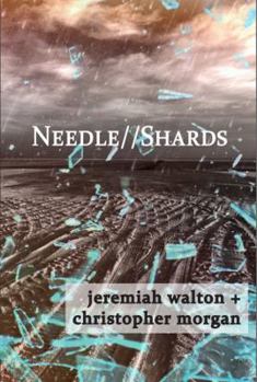 Paperback Needle // Shards Book