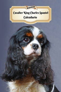 2020 Cavalier King Charles Spaniel Calendario: 107 P�ginas Tama�o A5 Planificador Semanal 12 Meses 1 Semana en 2 P�ginas Agenda Semana Vista Tapa Blanda Perro