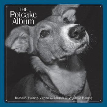 Paperback The Potcake Album Book