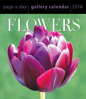 Calendar Flowers 2016 Gallery Calendar Book