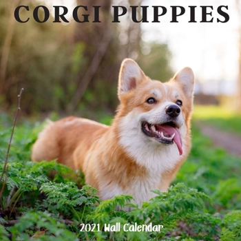 Corgi Puppy 2021 Wall Calendar: Corgi Puppy Calendar 2021, 18 Months