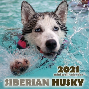 Paperback The Siberian Husky 2021 Mini Wall Calendar Book