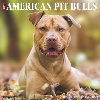 Calendar Just American Pit Bull Terriers 2020 Wall Calendar (Dog Breed Calendar) Book