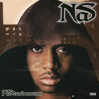 Vinyl Nastradamus Book
