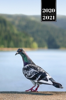 Pigeon Ornithology Bird Watching Birding Week Planner Weekly Organizer Calendar 2020 / 2021 - At the Lake: Cute Wildlife Animal Pet Bullet Journal Notebook Diary in 6” x 9” Inch Pocket Size