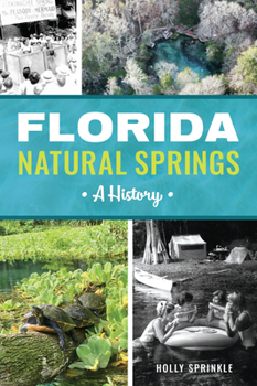 Paperback Florida Natural Springs: A History Book