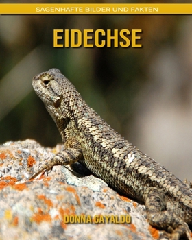 Paperback Eidechse: Sagenhafte Bilder und Fakten [German] Book