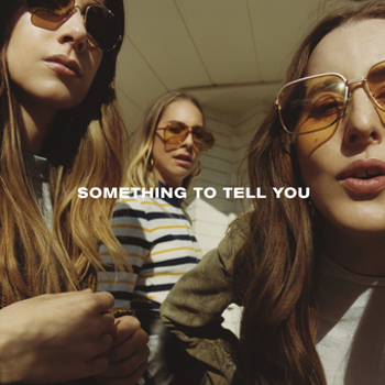 Vinyl Something To Tell You Book