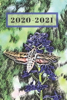 Coral Moth on Blue Delphinium on Green Dated Calendar Planner  2 years To-Do Lists,Tasks, Notes  Appointments for Women: Pretty Small Pocket/Purse ... - Dec 2021, 25 months Weekly Planner Book)