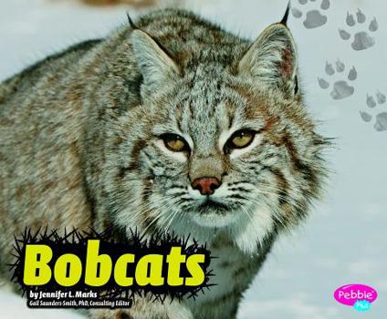 Hardcover Bobcats Book