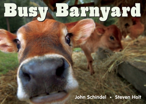 Busy Barnyard - Book  of the A Busy Book