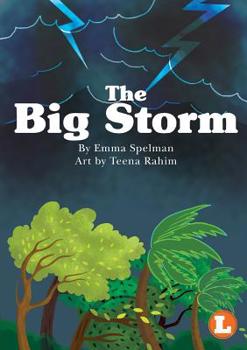Paperback The Big Storm Book