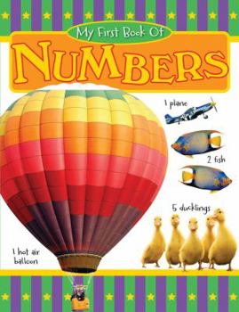 Board book My First Book of Numbers Book