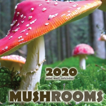 Paperback Mushrooms 2020 Mini Wall Calendar Book