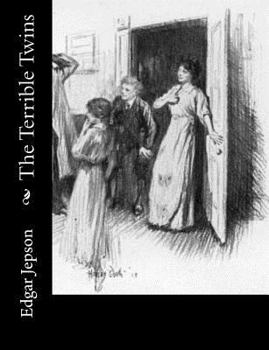 Paperback The Terrible Twins Book