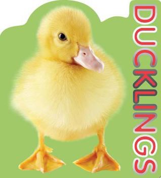 Board book Ducklings Book