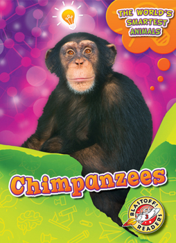 Library Binding Chimpanzees Book
